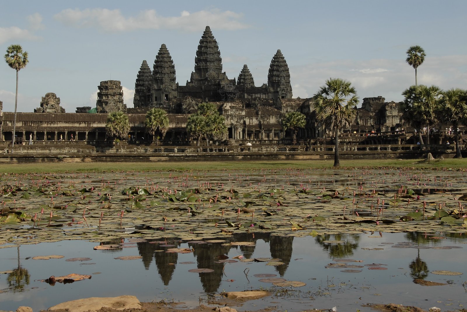 Angkor Wat main temple reflected in the lotus pond, Siem Reap, Cambodia