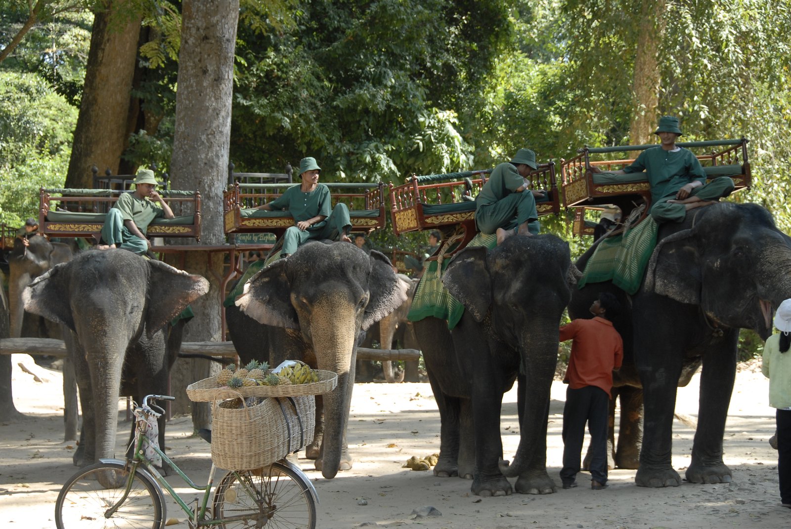 Elephants with mahouts waiting at Angkor Wat, Cambodia