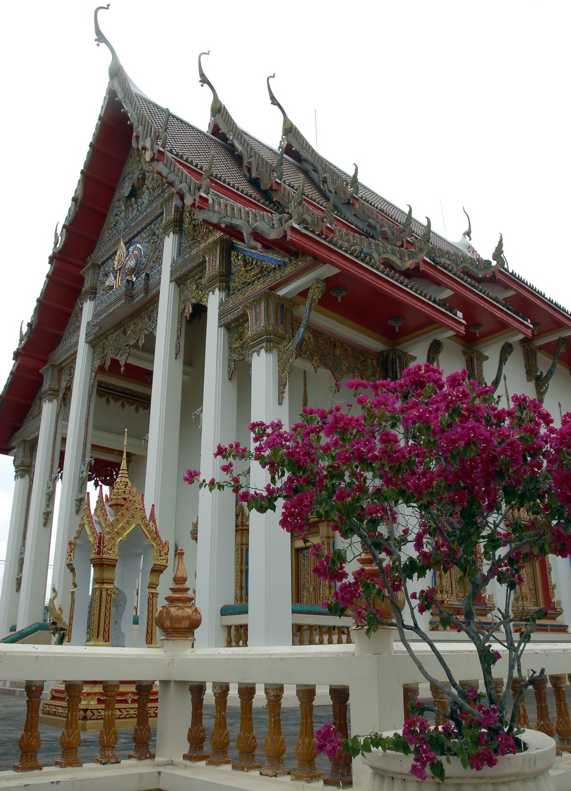 Thai Buddhist temple with red roof, gold ornamentation, and bougainvillea