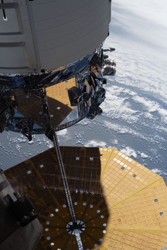 View of Cygnus and Earth
